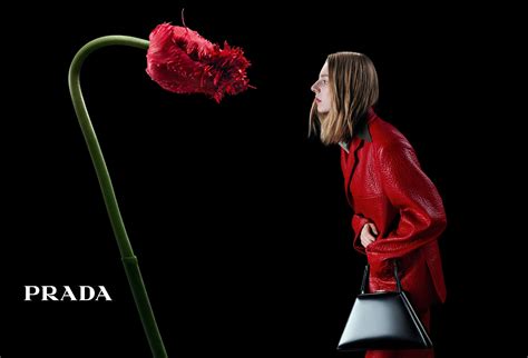 prada ad campaign|prada jewelry campaigns.